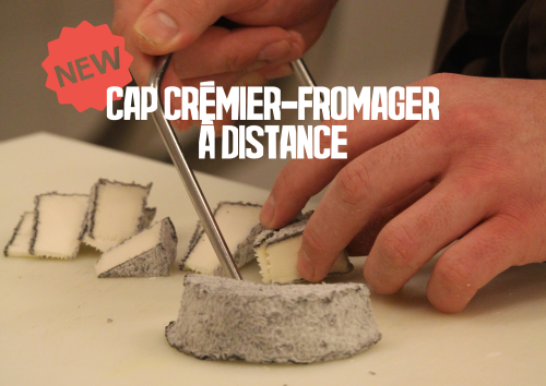 CAP Crémier-fromager à distance Fromages et produits laitiers